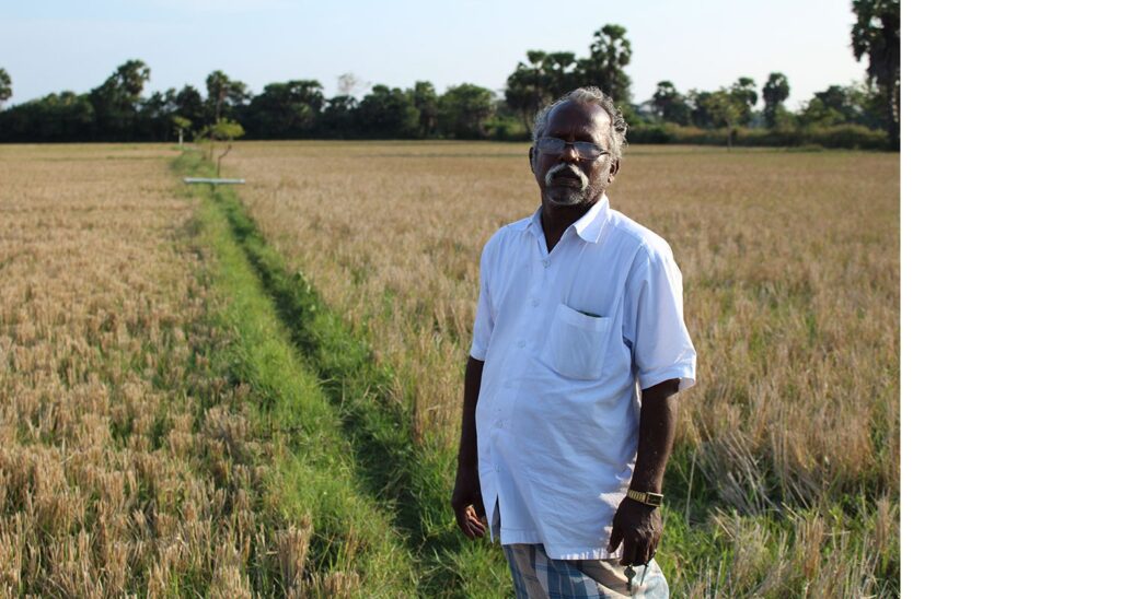 After crops failed on his six-acre (2.4 hectare) land, Jayapal Kaliyaperumal switched to vegetables and green gram. He also grew manure crops such as Kavalai for strengthening the soil. He says: ‘It is imp0ortant to grow manure crops and even leave the land alone for six months to regenerate. In the present scenario, farmers are continuously rotating crops, not allowing the soil to replenish.’